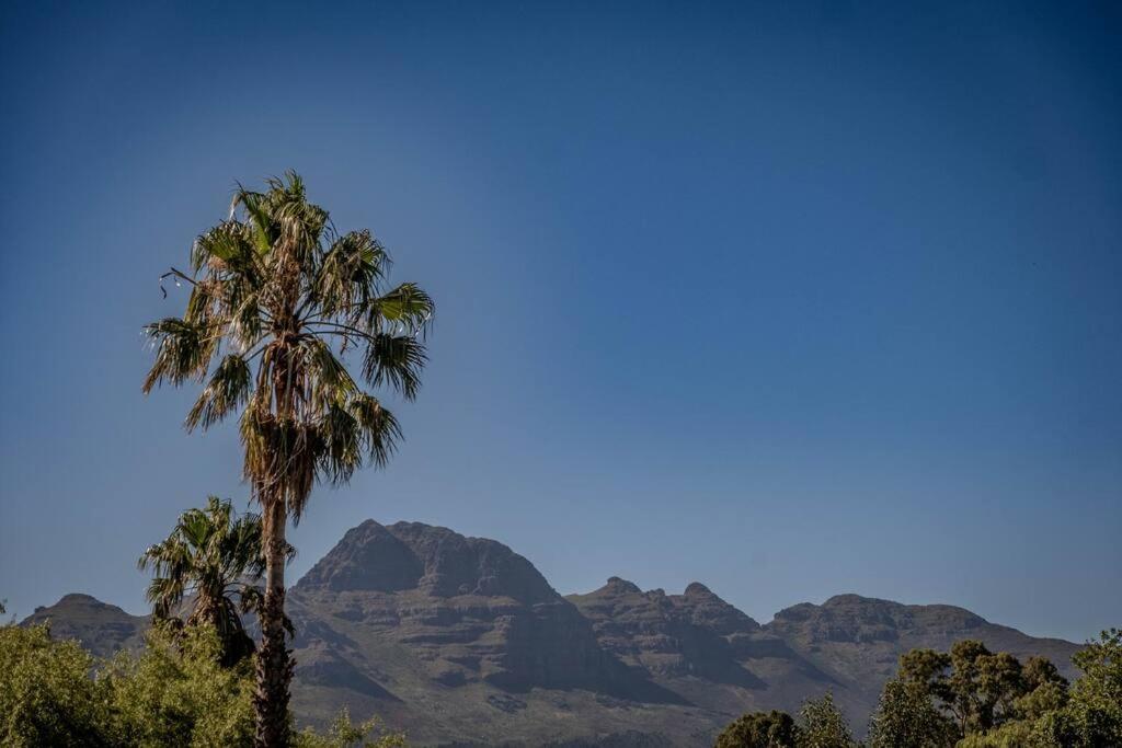 The Attic Apartment Stellenbosch